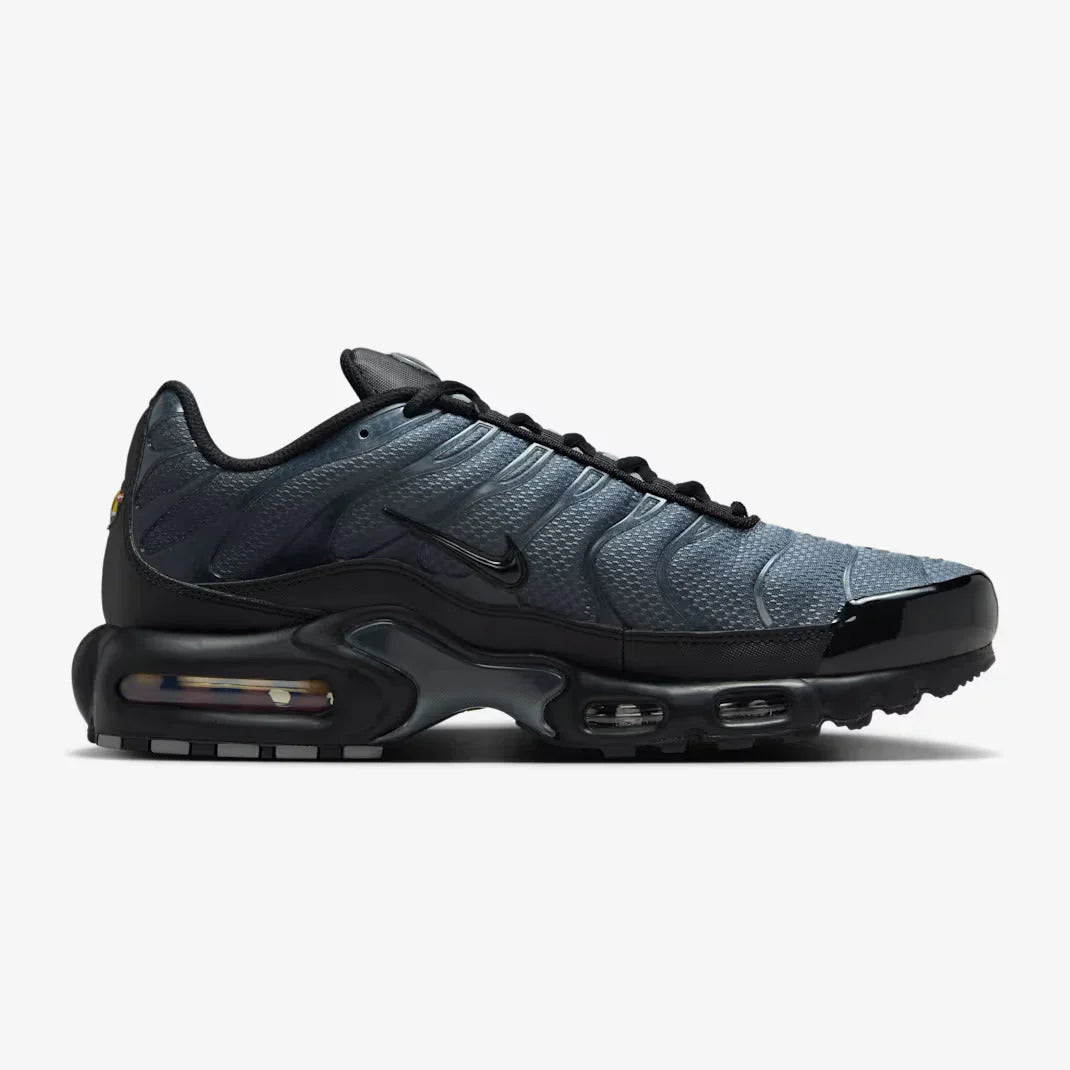 Nike Air Max Plus Paris Saint Germain